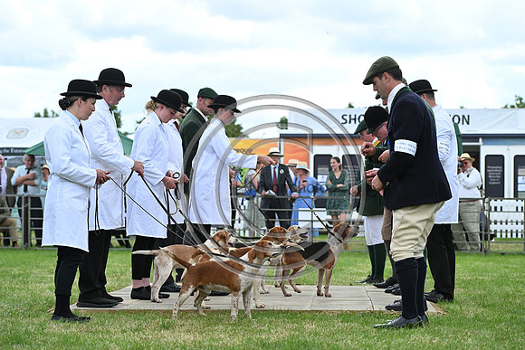 Festival of Hounds 2024
