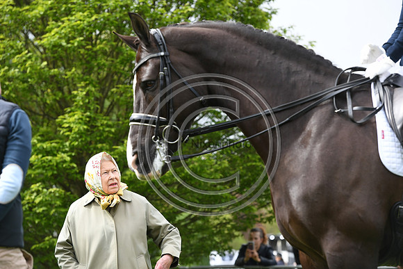 Valegro_RWHS_PN19_13014
