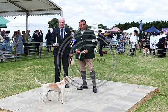 Festival of Hounds 2024