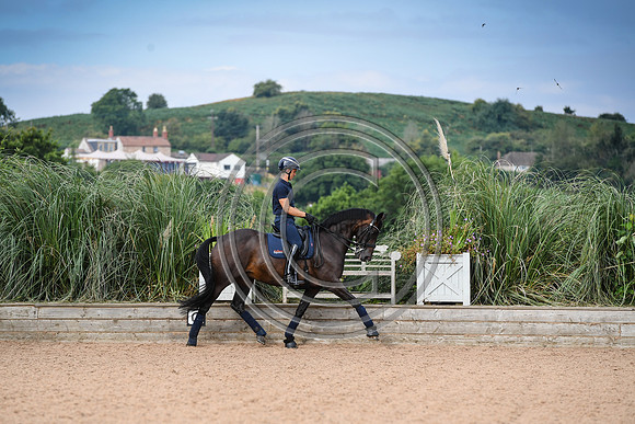 Collective Equestrian