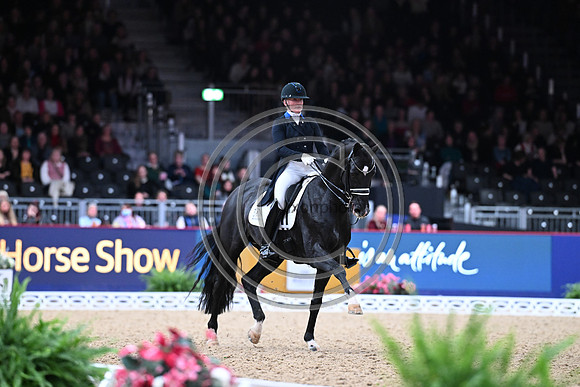 Nanna Skodborg Merrald_Blue Hors St. Schufro_LIHS_PN24_180269