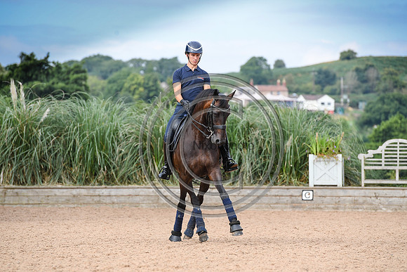 Collective Equestrian