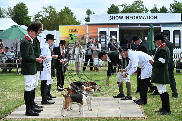 Festival of Hounds 2024