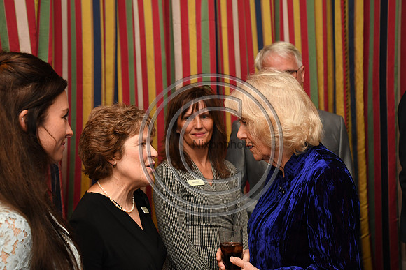 DUCHESS OF CORNWALL_BEF_PN22_10845