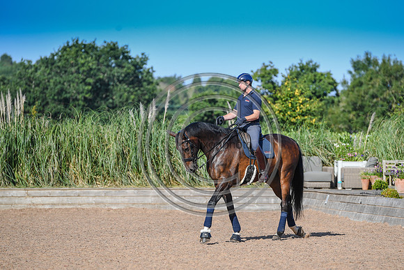 Collective Equestrian