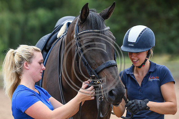 Collective Equestrian