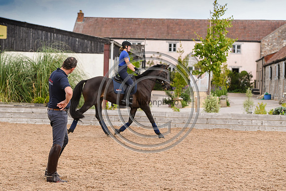 Collective Equestrian