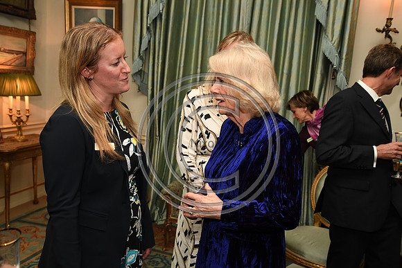 DUCHESS OF CORNWALL_BEF_PN22_11024