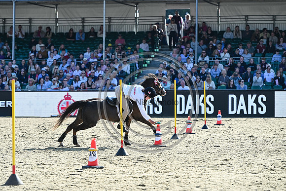 DAKS_PC_RWHS25_P189999