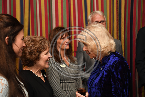 DUCHESS OF CORNWALL_BEF_PN22_10844