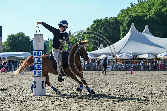 DAKS_PCMG_RWHS25_P190015