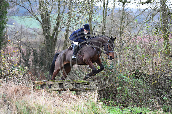 Ludlow_Hunting_95