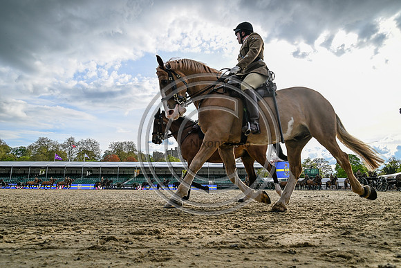 King's Troop_RWHS_PN24_130704