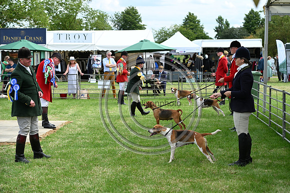 Festival of Hounds 2024