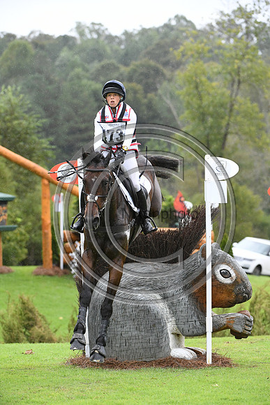 ALLSTAR B_WEG18_PN18_126384