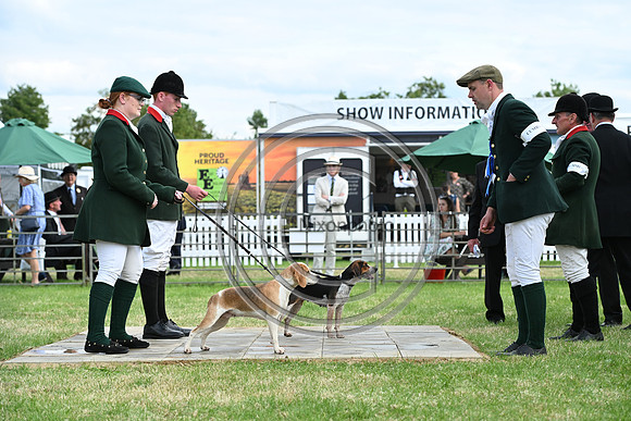 Festival of Hounds 2024
