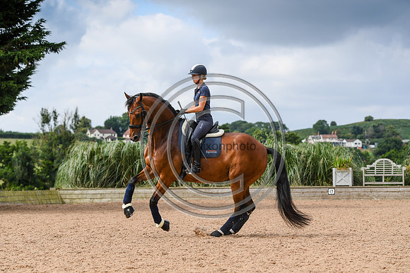 Collective Equestrian