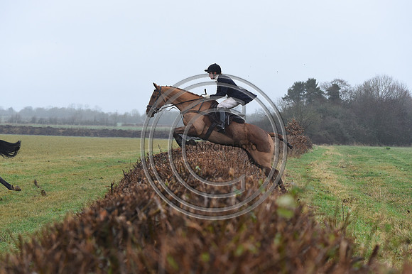 Duke of Beaufort's Hunt  08 01 22