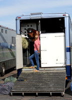 OlympicHorses_08KH268