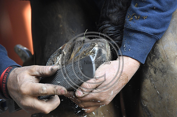 Nigel Perrott_Farrier_PN20_51872