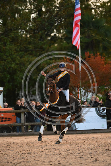 Caroline HARRIS_D. DAY_Pau_PN24_177503