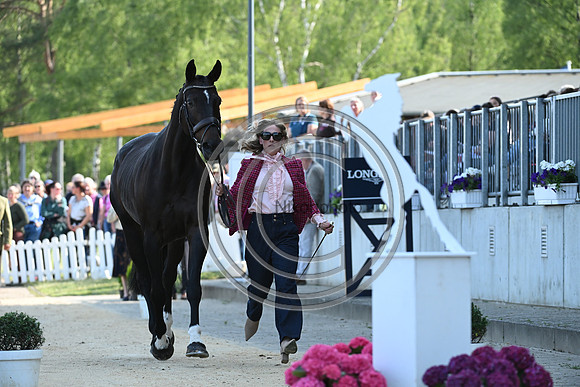 Longines Luhmühlen Horse Trials