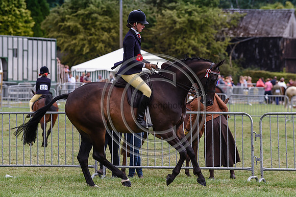 HorseNo847_Bakewell15pn_31440