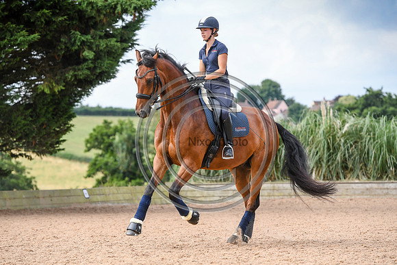 Collective Equestrian