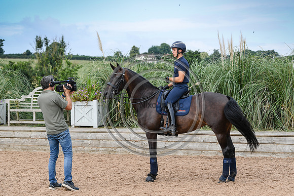 Collective Equestrian