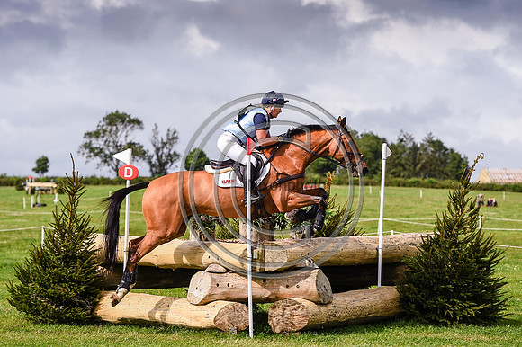HorseNo733_Burgham_20PN_90442