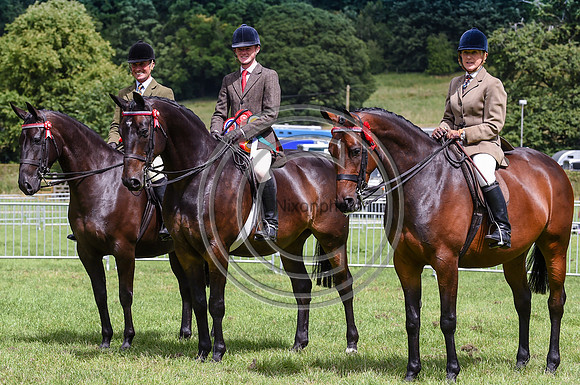 RidingHorse_Bakewell15pn_31360