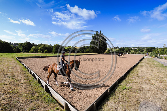 Collective Equestrian