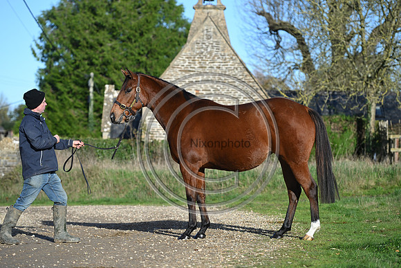 Mare_Selwood_PN73