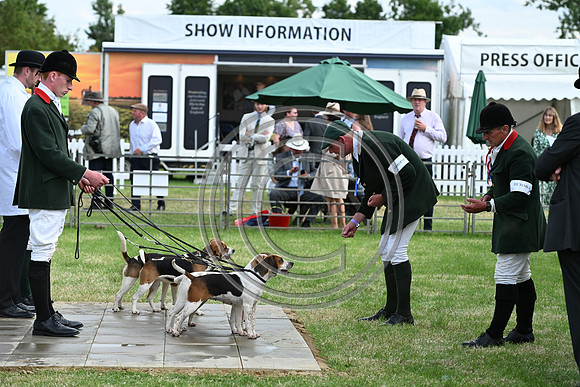 Festival of Hounds 2024