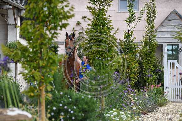 Collective Equestrian