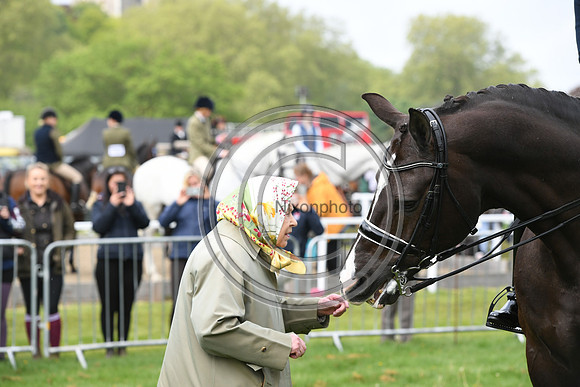 Valegro_RWHS_PN19_12955