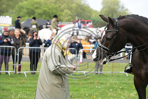 Valegro_RWHS_PN19_12953