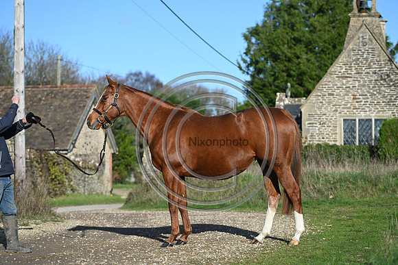 Mare_Selwood_PN25
