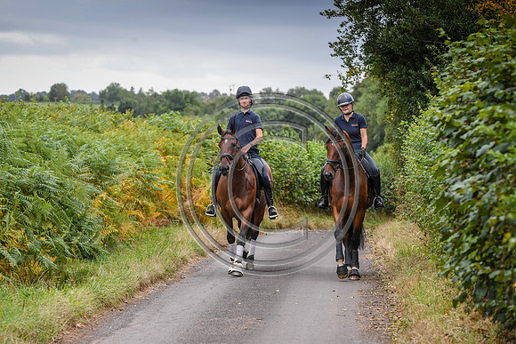 Collective Equestrian