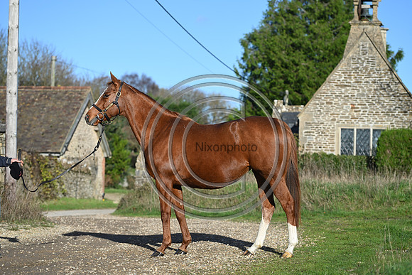 Mare_Selwood_PN28