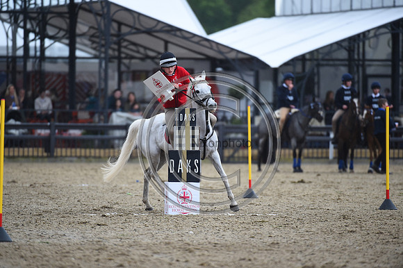 DAKS_PCMounted Games_RWHS_PN24_133009