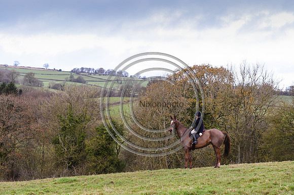 Ludlow Hunts