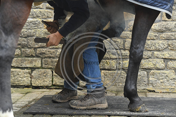 Nigel Perrott_Farrier_PN20_51836