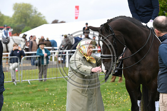 Valegro_RWHS_PN19_12960