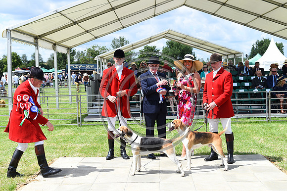 Festival of Hounds 2024