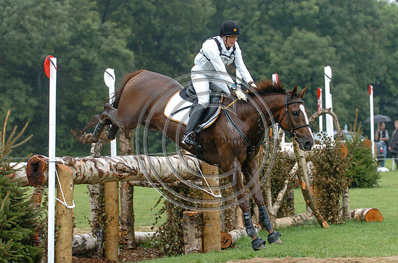 05DonckersK_GormleyBlen1740
