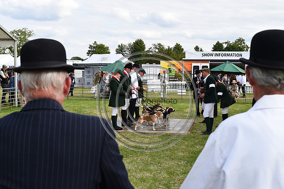 Festival of Hounds 2024