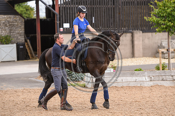 Collective Equestrian