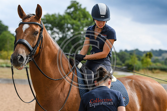 Collective Equestrian