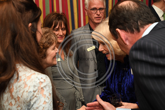 DUCHESS OF CORNWALL_BEF_PN22_10841